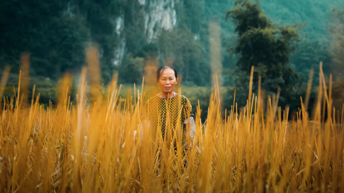People of Vietnam ｜Passion Project